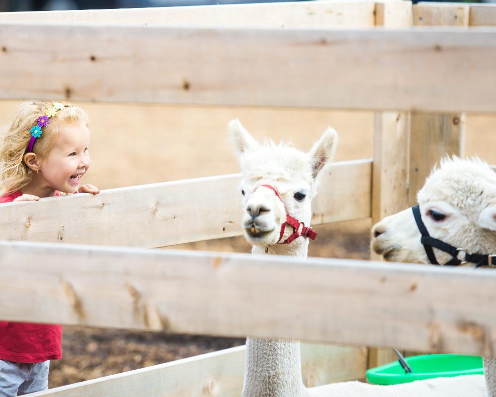 Lions ermöglichen Zoobesuch für Kinder